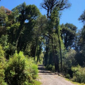 Reserva 4ta Línea / Macrolotes