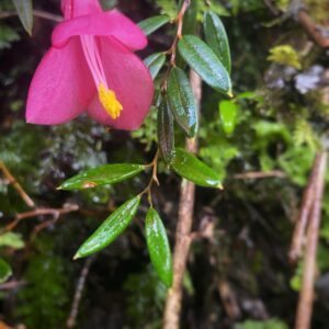 Reserva Lote + Conservación